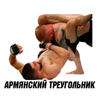 Sticker @ArmeniaMMA - 3