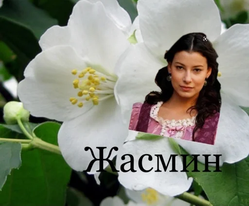 plant petal human face