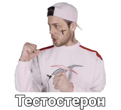 Стикер ArnoldPizdabolsky - 1