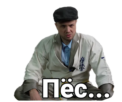 Стикер ArnoldPizdabolsky - 1