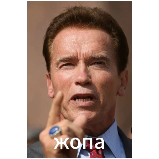 Sticker ArnoldSchwarzenegger1 - 1
