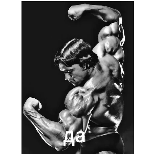 Стикер ArnoldSchwarzenegger1 - 1