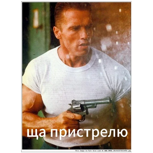 Sticker ArnoldSchwarzenegger1 - 1
