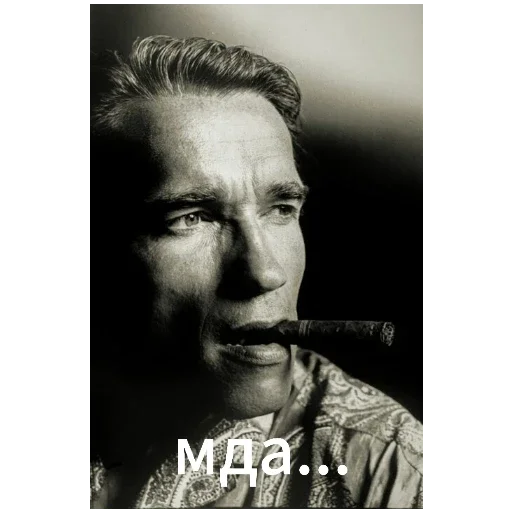 Стикер ArnoldSchwarzenegger1 - 1