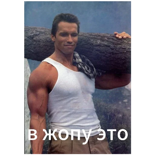 Sticker ArnoldSchwarzenegger1 - 1