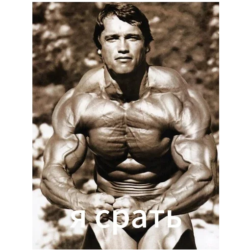 Sticker ArnoldSchwarzenegger1 - 1