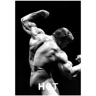 Sticker Arnold Schwarzenegger - 3