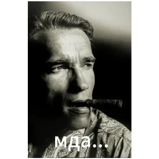 Sticker Arnold Schwarzenegger - 5