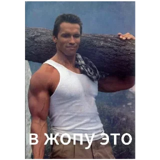 Sticker Arnold Schwarzenegger - 4