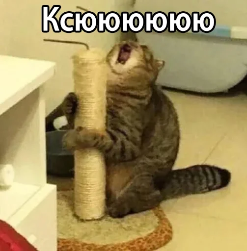 Sticker Арпабад - 3