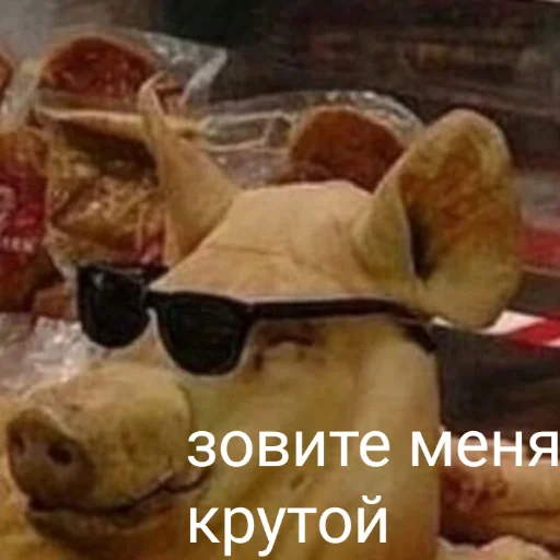 text snack fast food