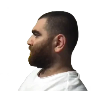 Sticker Арсен Маркарян @advice_motivation - 5