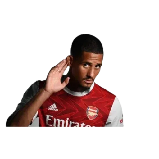 Sticker ArsenalGlazamiDenisaISashi - 1