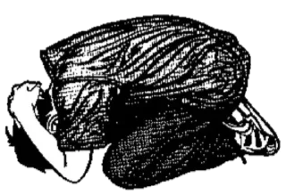 Sticker Art Navsegda @stickersb2b - 3