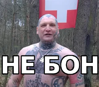 Стикер А. Бонов ϟϟ @zhido_drochizm - 3