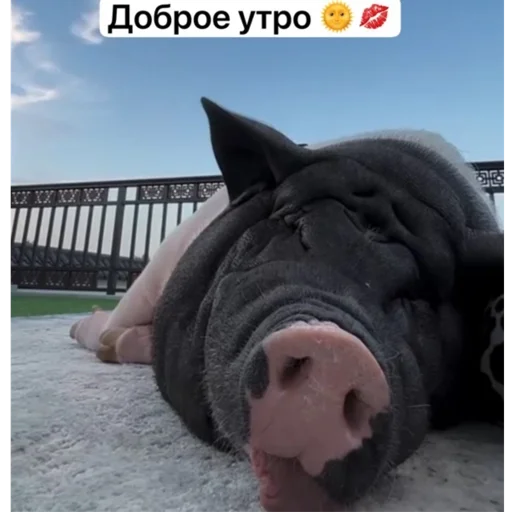 Sticker Artemoleg3 - 1