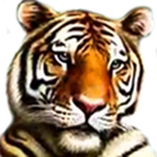 животное млекопитающее большая кошка