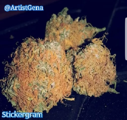 Sticker IVAN DRAGO ULTIMATE - 4