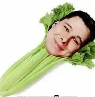 Sticker Больше стиков тут: @stikery4 - 4