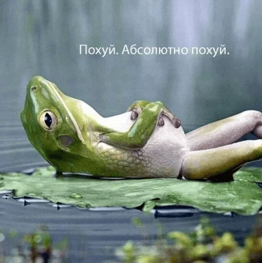 Sticker @AsadCs Stickers - 0