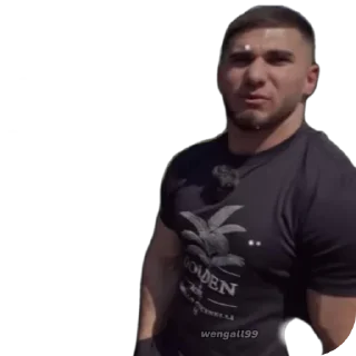 Sticker Асхаб Тамара от arab - 2