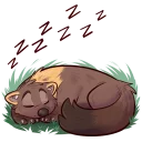 Стикер Aspen the Pine Marten - 10