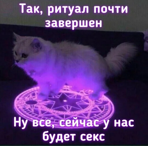 СМС животное млекопитающее