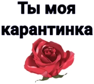 Sticker Атайдите pls @stickerus - 4