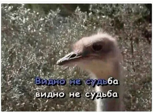 Sticker AtayditePLZ - 1