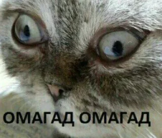 Sticker Атайдите pls @stickerus - 5