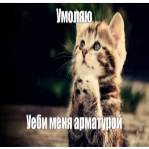 Стикер Арлан лох - 6