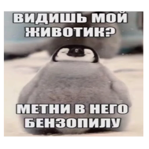 Стикер Арлан лох - 3