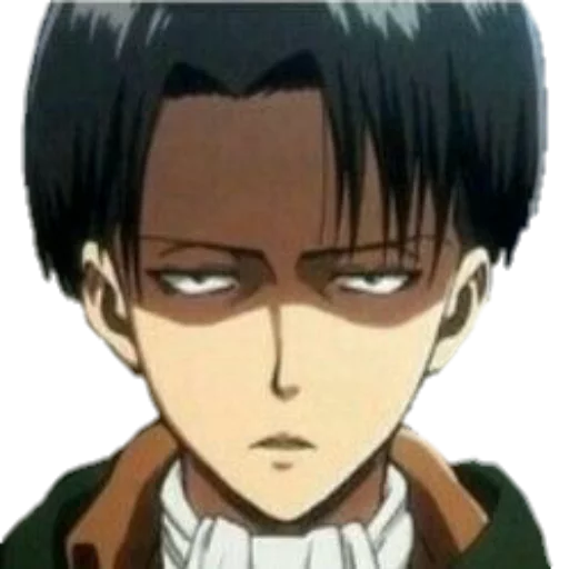 Attack on titan @otakusland - cartoon