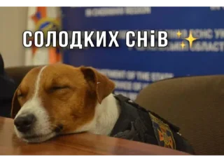Sticker Повітряна тривога! - 2