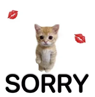 Sticker Больше стиков тут: @stikery4 - 10