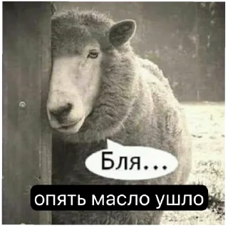 Sticker ауди клан - 9