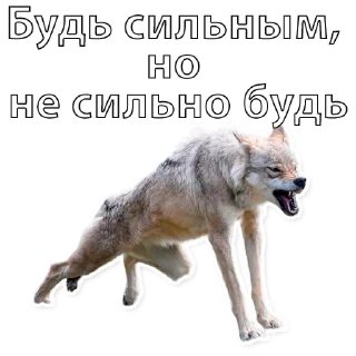 Sticker AufJoke - 10