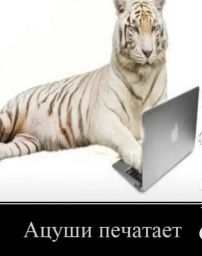 Стикер ммд :: @fStikBot - 5