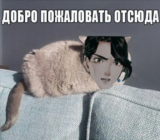 Sticker hui :: @fStikBot - 11