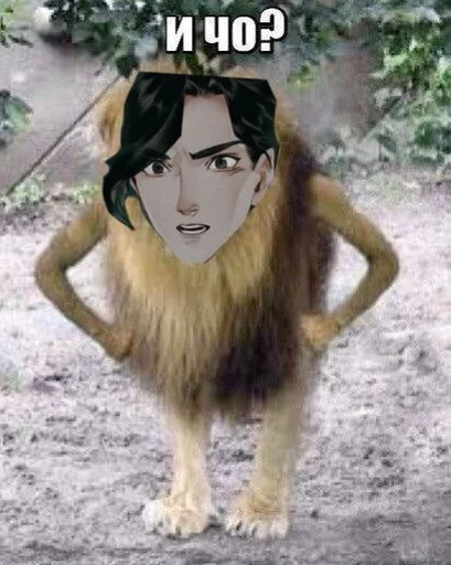 Sticker hui :: @fStikBot - 9