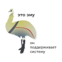 Sticker Australian Cossacks - 8