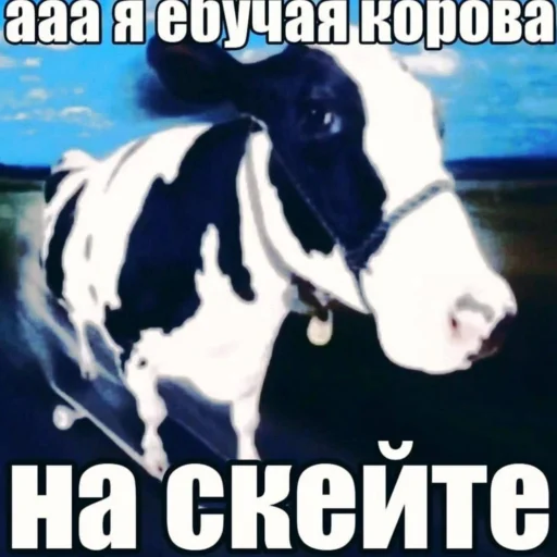 Стикер Чечилл,но он стал ебанутей - 4