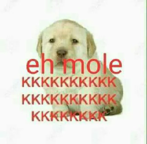 СМС животное млекопитающее