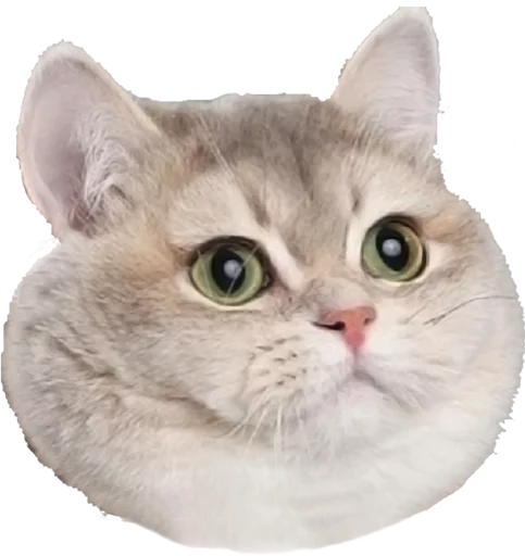 Pack Autista @Sonico98 - 