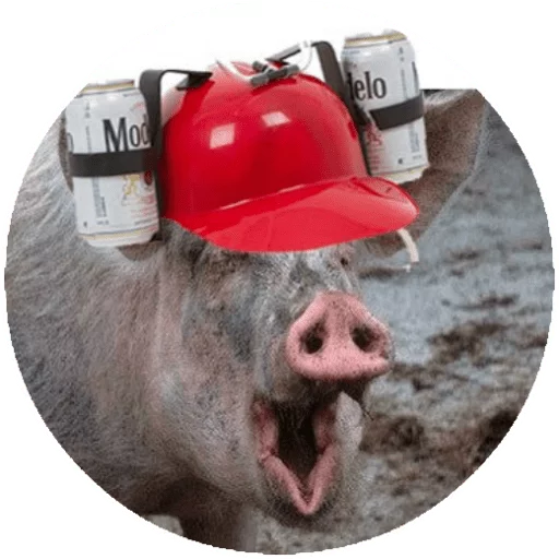 млекопитающее животное свинья