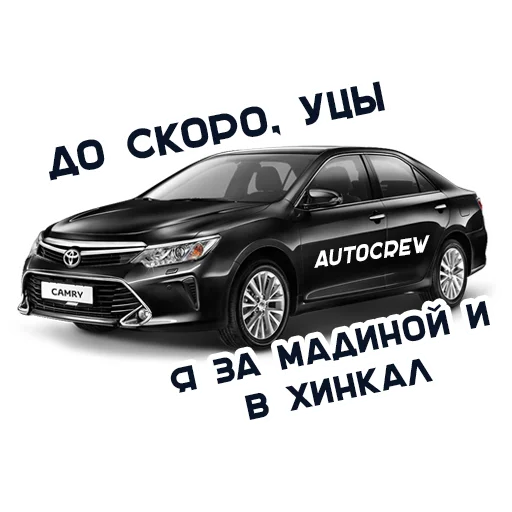 text vehicle land vehicle