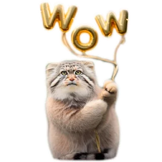 Sticker Autumn Manul @animalplantspb - 10