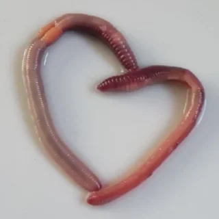 Стикер 💱 - 9