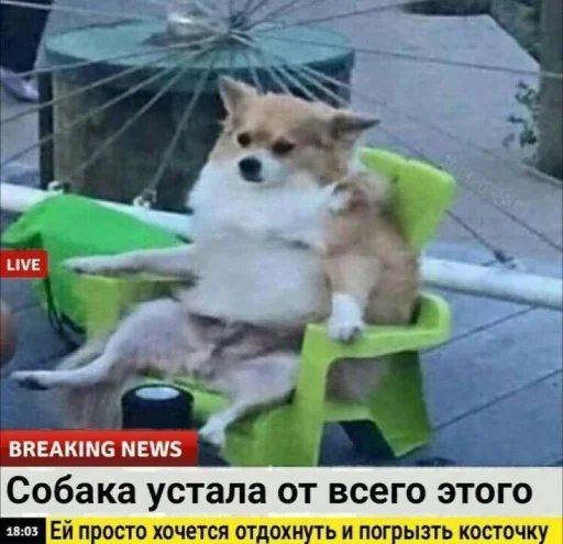 Sticker Avaricelive - 1