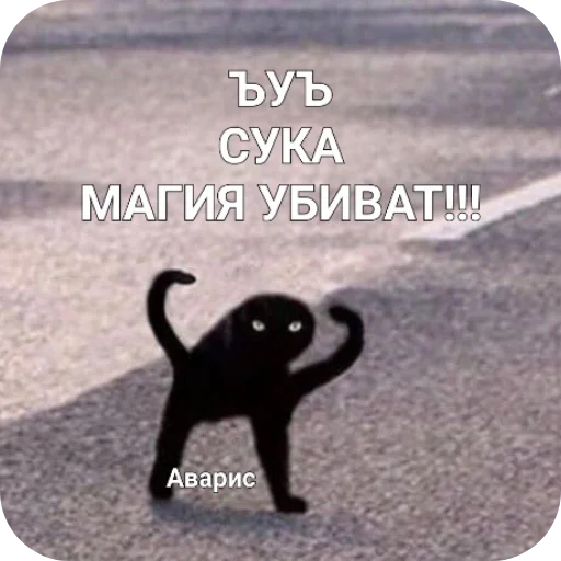 Sticker Avaricelive - 1